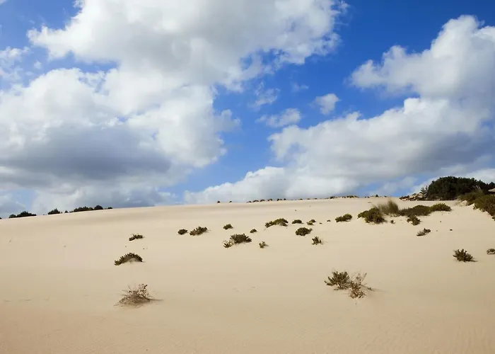 Hotel Le Dune Piscinas Ingurtosu